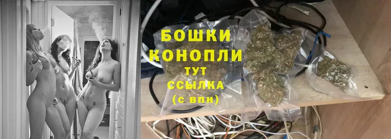 Каннабис OG Kush  Партизанск 